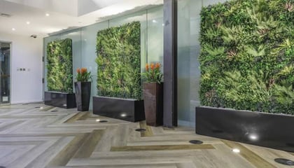 Vibrant Artificial Green Walls